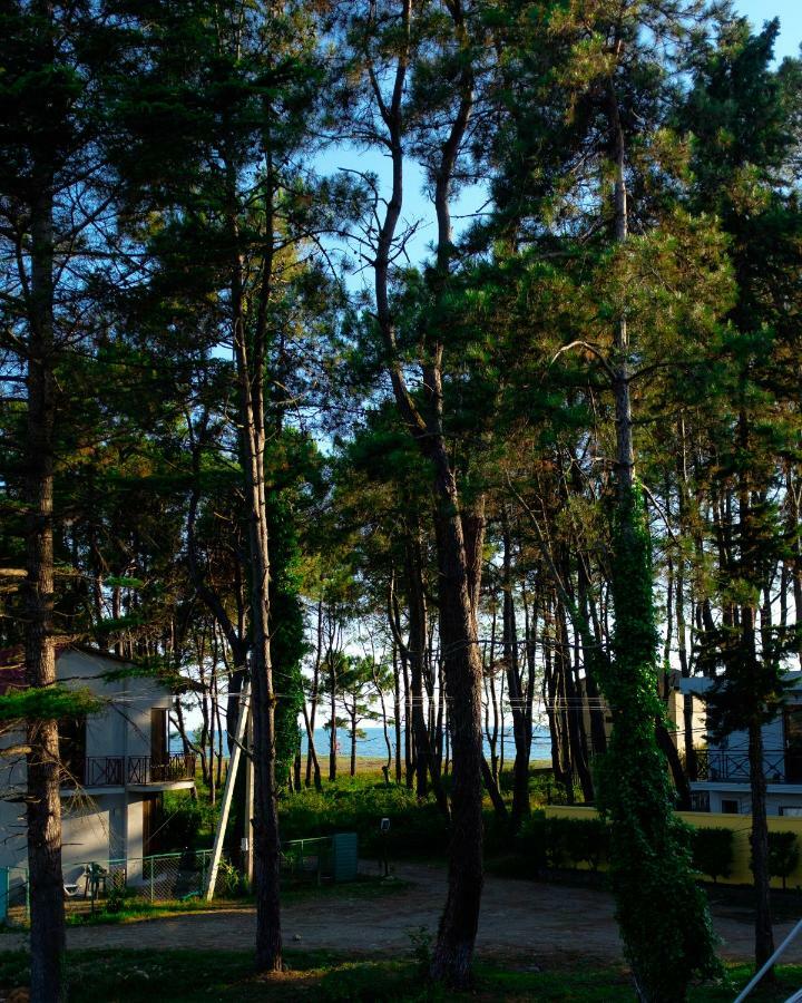Restcoast Villa Shekhvetili Exteriör bild